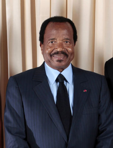 Cameroonian presidential election, 2011
